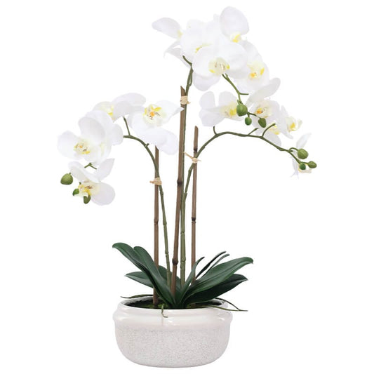 The Luna Orchid - Real Touch - in Pot 52cm