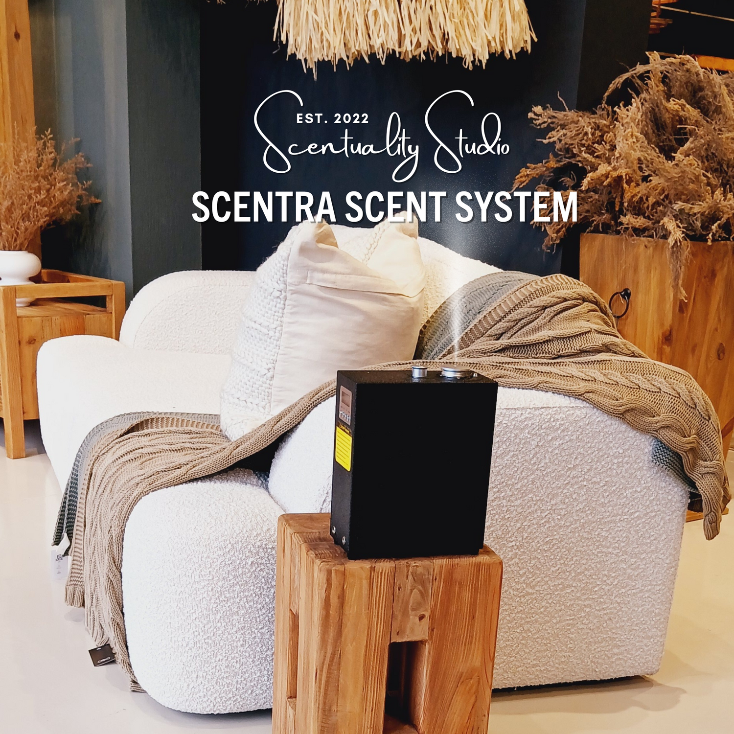 Scentra & Signature Scents