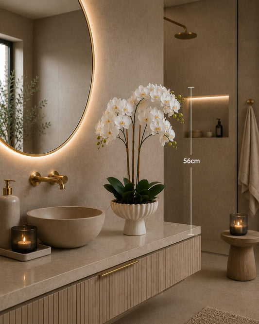 The Regal Orchid - in FTD Pot - 56cm