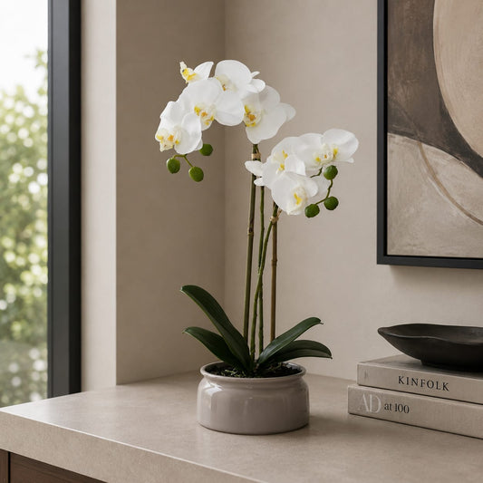 The Serene Orchid - in Beige Pot - 40cm