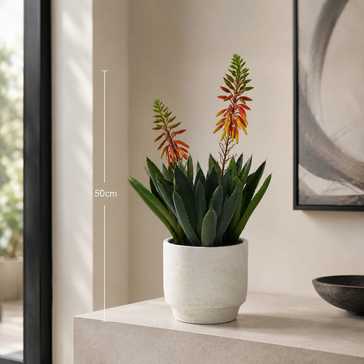 The Ember Aloe - in Pot - 50cm